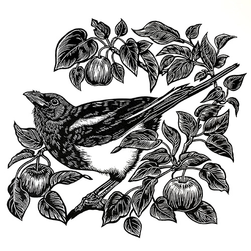 View more about KTA Studio